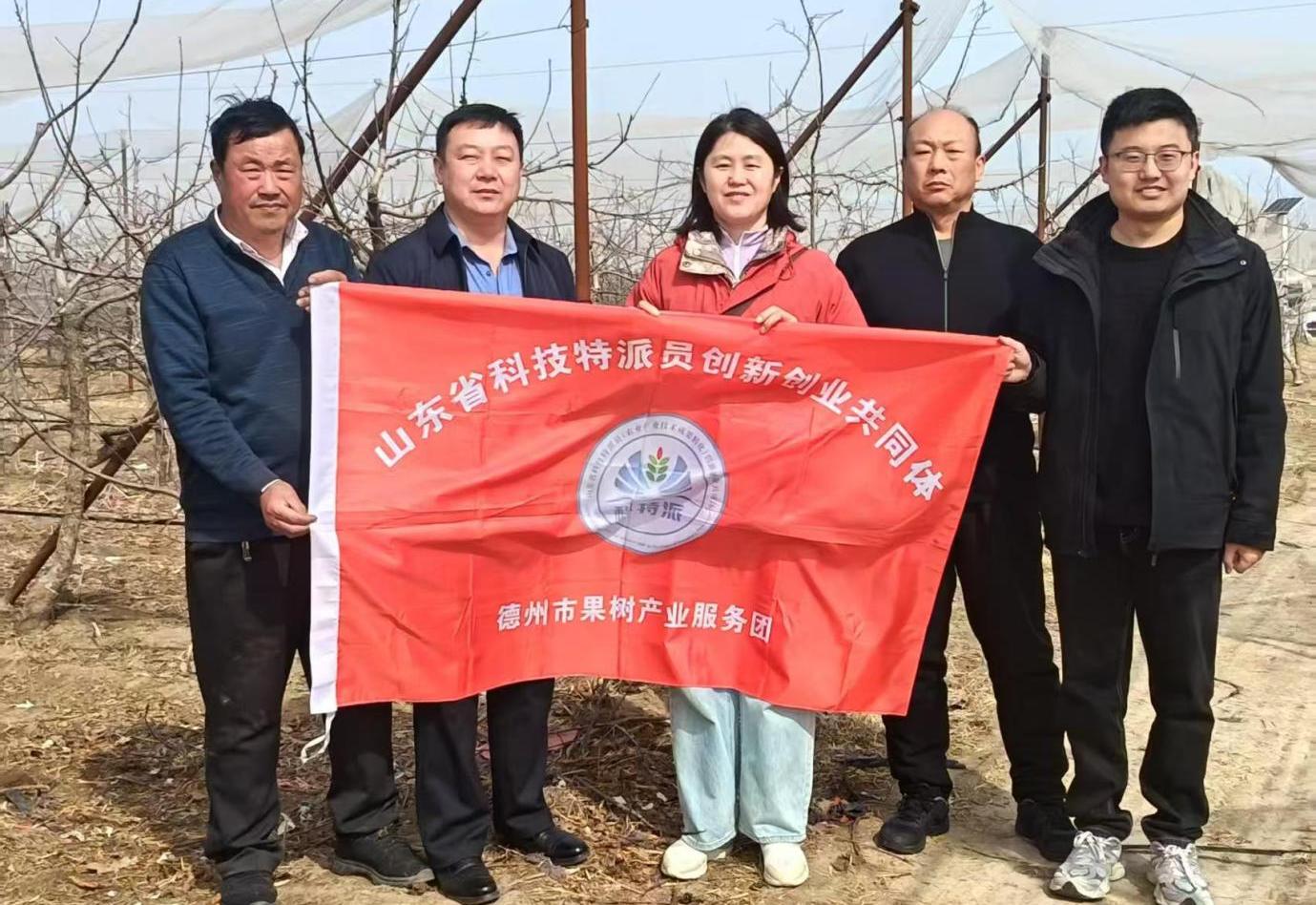 德州市果树产业服务团携手省级专家助力果农增收